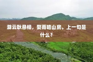 滁云耿悬榻，婺雨暗山房。上一句是什么？