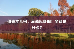 得丧才几何，哀哉以身徇！全诗是什么？