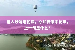 谁人妙解老韶诀，心印传来不记年。上一句是什么？