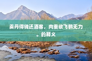 卖丹得钱还酒客，肉重欲飞鹤无力。的释义