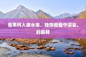 昏黑何人度水来，独馀痴魄守深哀。的解释