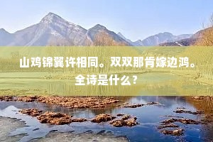 山鸡锦翼许相同。双双那肯嫁边鸿。全诗是什么？