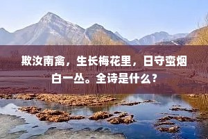 欺汝南禽，生长梅花里，日守蛮烟白一丛。全诗是什么？