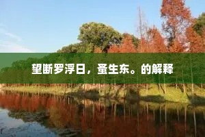 望断罗浮日，蚤生东。的解释