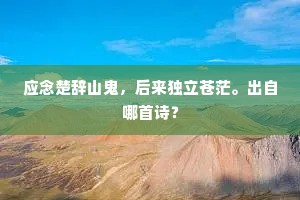 应念楚辞山鬼，后来独立苍茫。出自哪首诗？