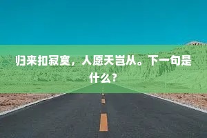 归来扣寂寞，人愿天岂从。下一句是什么？