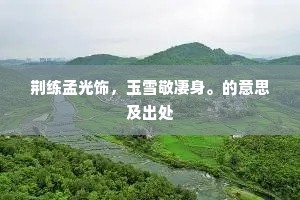 荆练孟光饰，玉雪敬凄身。的意思及出处