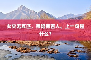 女史无其匹，宗姬有若人。上一句是什么？