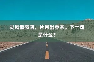 灵风散微阴，片月出乔木。下一句是什么？