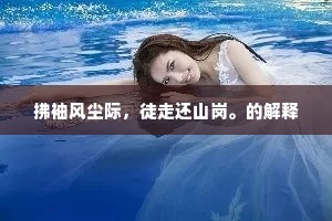 拂袖风尘际，徒走还山岗。的解释