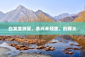 白发龙钟叟，余兴未颓唐。的释义