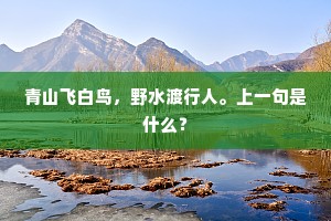 青山飞白鸟，野水渡行人。上一句是什么？