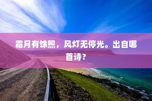 霜月有馀照，风灯无停光。出自哪首诗？