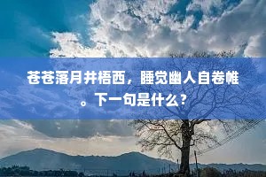 苍苍落月井梧西,睡觉幽人自卷帷。下一句是什么? 苍苍落月井梧西,睡觉幽人自卷帷。下一句是什么?