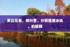 莫比花看，枝叶里、分明细蹙冰纨。的解释
