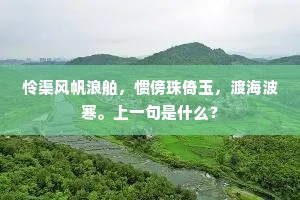怜渠风帆浪舶，惯傍珠倚玉，渡海波寒。上一句是什么？