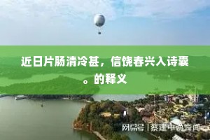 近日片肠清冷甚，信饶春兴入诗囊。的释义