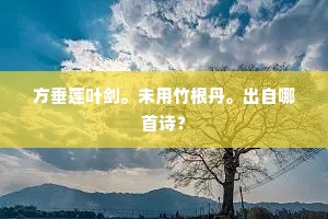 方垂莲叶剑。未用竹根丹。出自哪首诗？