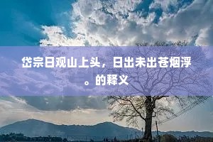 岱宗日观山上头，日出未出苍烟浮。的释义