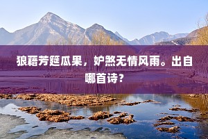 狼藉芳筵瓜果，妒煞无情风雨。出自哪首诗？