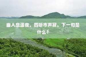 幽人息遥夜，四听市声寂。下一句是什么？