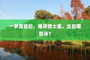 一梦龙蛇后，难寻博士星。出自哪首诗？