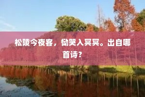 松陵今夜客,恸哭入冥冥。出自哪首诗? 松陵今夜客,恸哭入冥冥。出自哪首诗?