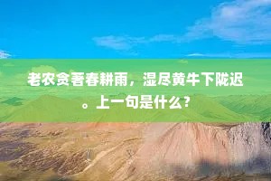 老农贪著春耕雨，湿尽黄牛下陇迟。上一句是什么？
