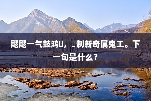 飕飕一气鼓鸿濛，毬制新奇属鬼工。下一句是什么？