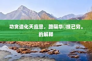 功贪造化天应忌，路隔华鬘技已穷。的解释