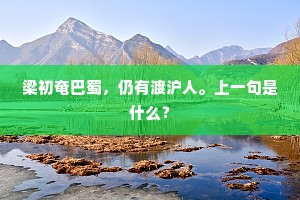 梁初奄巴蜀，仍有渡沪人。上一句是什么？