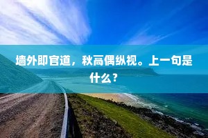 墙外即官道，秋高偶纵视。上一句是什么？