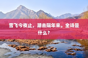 雪飞今夜止，潮去隔年来。全诗是什么？
