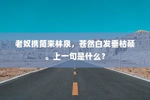 老奴携简来林泉，苍然白发垂枯颠。上一句是什么？