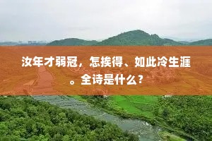 汝年才弱冠，怎挨得、如此冷生涯。全诗是什么？