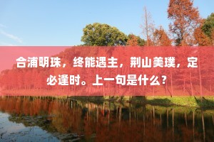 合浦明珠，终能遇主，荆山美璞，定必逢时。上一句是什么？