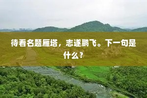 待看名题雁塔，志遂鹏飞。下一句是什么？