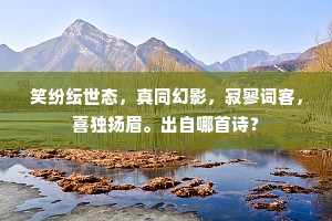 笑纷纭世态，真同幻影，寂寥词客，喜独扬眉。出自哪首诗？