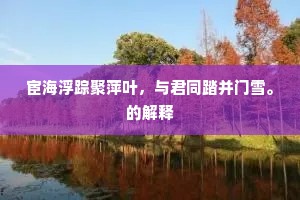 宦海浮踪聚萍叶，与君同踏并门雪。的解释