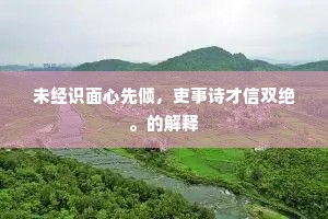 未经识面心先倾，吏事诗才信双绝。的解释