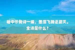 袖中示我诗一编，墨藻飞腾讵磨灭。全诗是什么？