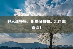 野人逢野景，相爱似相知。出自哪首诗？