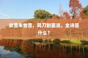 欲雪未曾雪，风刀割面凉。全诗是什么？