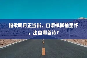 踏歌明月正当街，口嚼槟榔袖里怀。出自哪首诗？