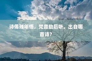 诗偈残年悟，梵音劫后听。出自哪首诗？