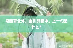 皂阁暮云外，金川醉眼中。上一句是什么？