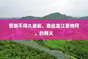 暂游不得久婆娑，柰此龙江景物何。的释义