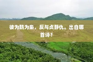 彼为鸱为枭，反与贞静仇。出自哪首诗？