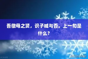 吾徵母之贤，识子臧与否。上一句是什么？