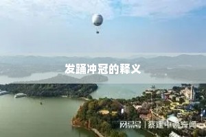 发踊冲冠的释义